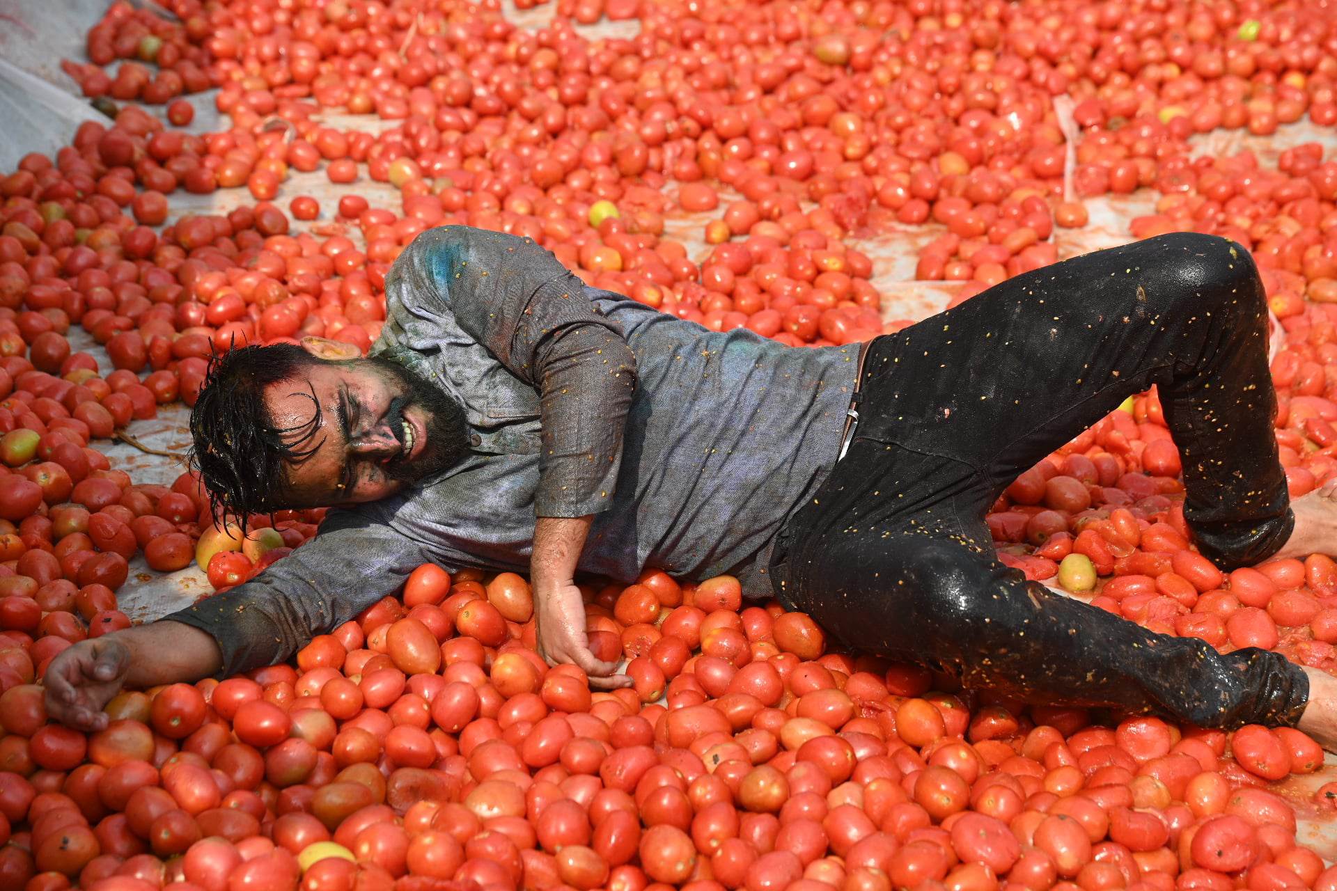 लैनचौरमा गोलभेडामाथि लडिबुडी गरेर मनाइयो होली (फोटोफिचर)